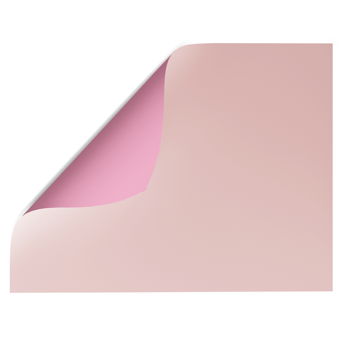 Peony Pink | Double-sided Backdrops