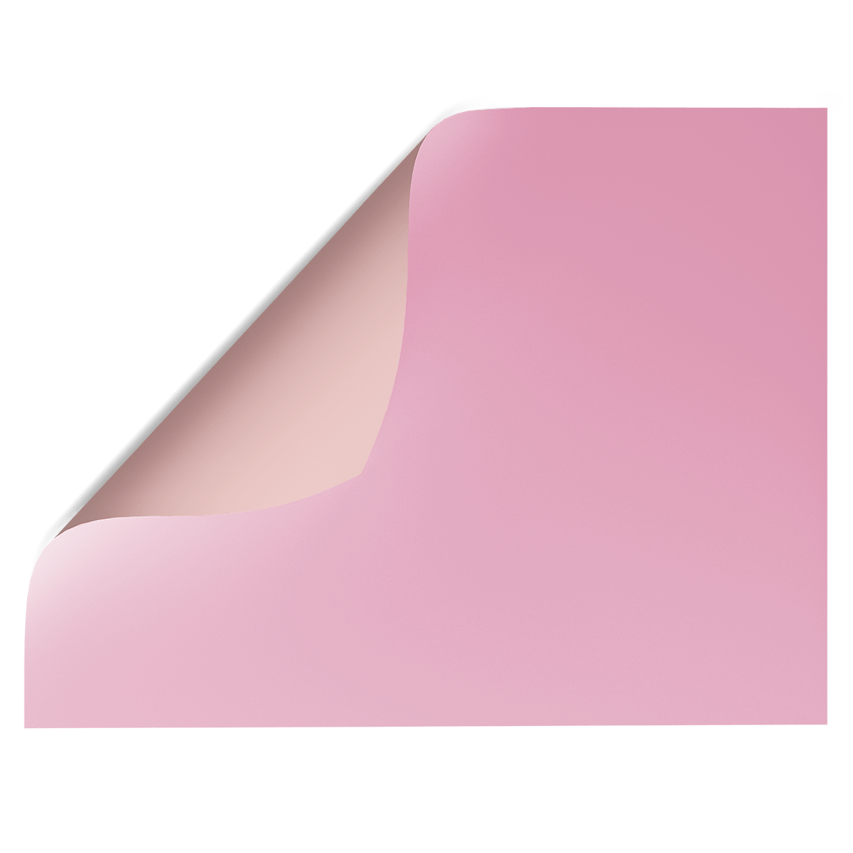 Peony Pink light baby pink solid colour Double-sided Backdrops - Backdrop Collective