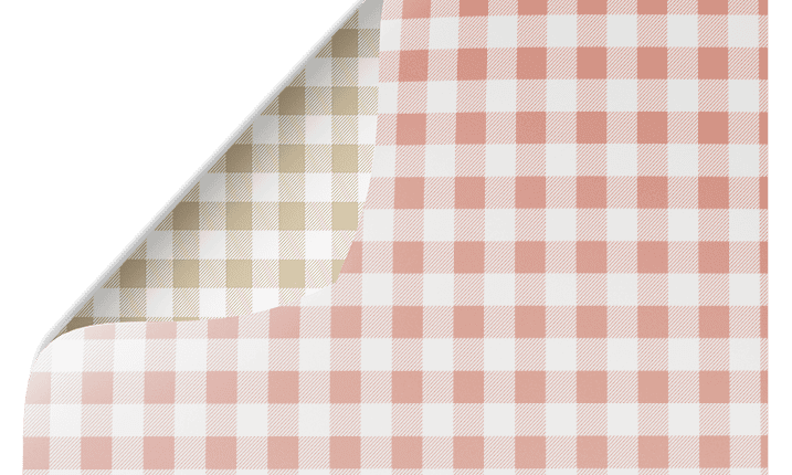 picnic2-Ecom_051a9399-83a3-436f-825d-5430bcc602ea.png