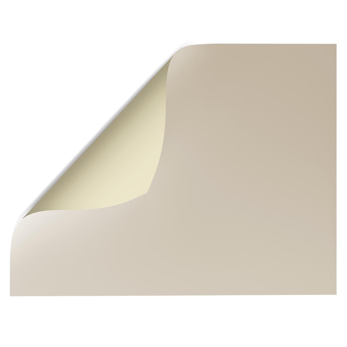 Beige Ripper Backdrop Beige double-sided Vinyl Photography Backdrops – Backdrop Collective